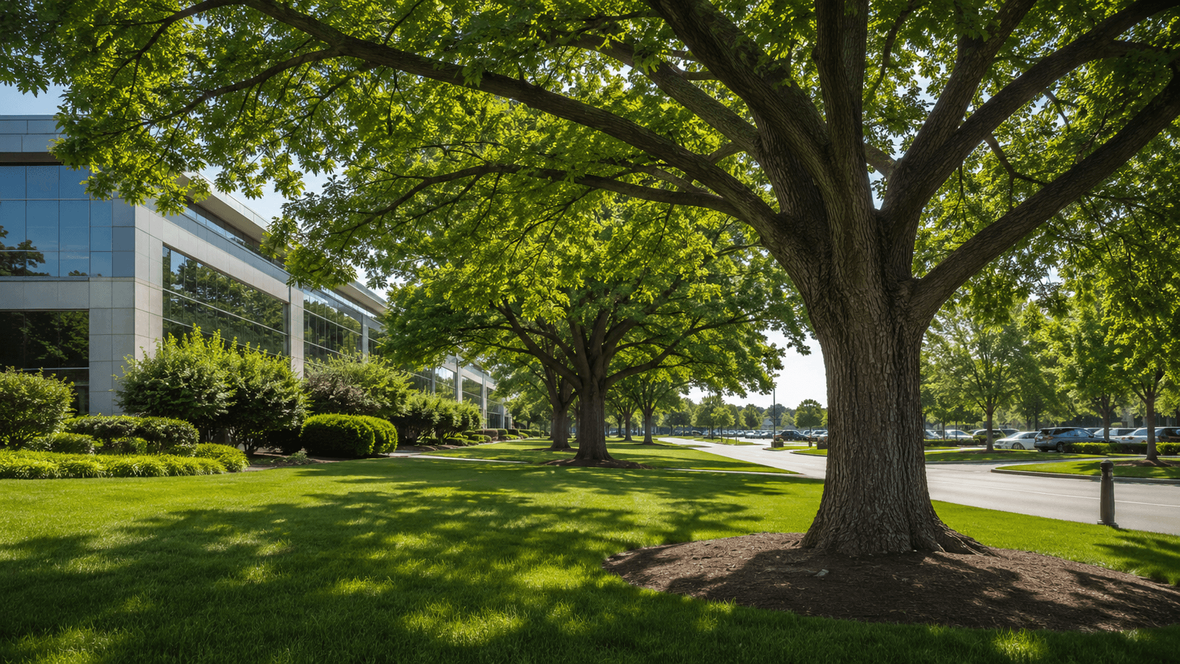 RTEC Treecare Acquires Integrated Plant Care, Expands Regional Reach